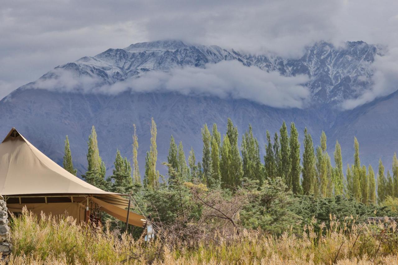 Chamba Camp Diskit ヌブラ エクステリア 写真